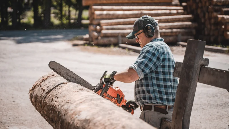 RawmanPictures - Sebastian Schiefermayr | Sägewerk Löberbauer | Mann mit Kettensäge fällt Holz, professionelle Holzverarbeitung, Sicherheitsausrüstung.