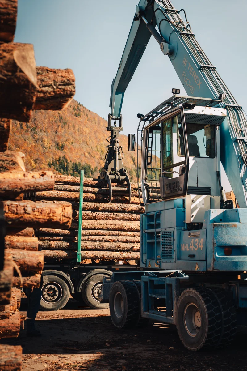 RawmanPictures - Sebastian Schiefermayr | Sägewerk Löberbauer | Forstwirtschaft Logistik: Bagger lädt Baumstämme auf LKW im herbstlichen Wald.