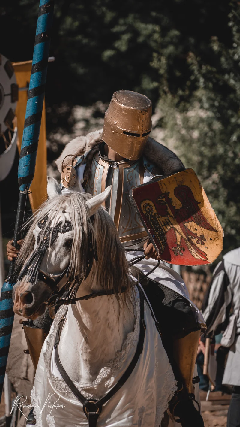 RawmanPictures - Sebastian Schiefermayr | Ritterturnier Burg Clam | Ritter auf Pferd beim Mittelalterfest, voll gepanzert, mit Schild und Lanze.