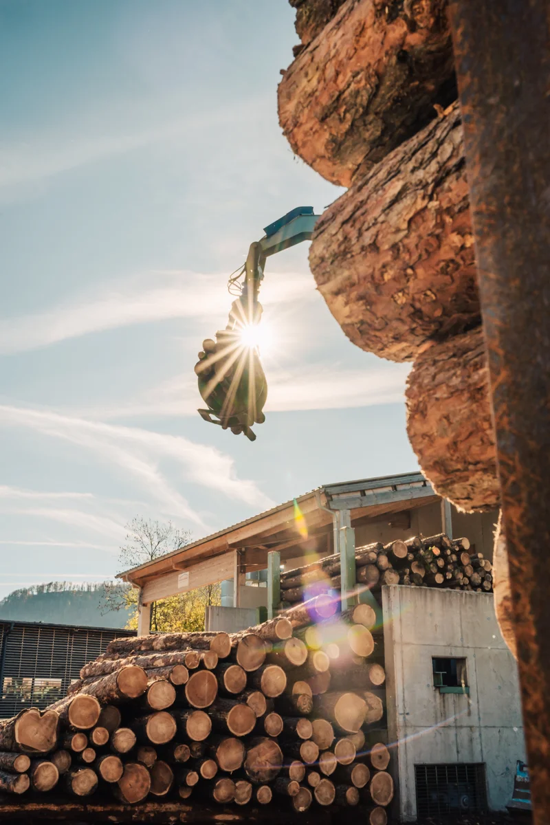 RawmanPictures - Sebastian Schiefermayr | Sägewerk Löberbauer | Sonnenlicht trifft Holzstapel: Industrielle Holzlagerung im Freien.
