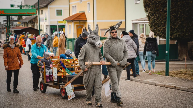 RawmanPictures - Sebastian Schiefermayr | Faschingsumzug Weißkirchen | Karnevalsumzug im Ort mit Menschen in Tierkostümen und geschmücktem Wagen, Straßenfeststimmung.