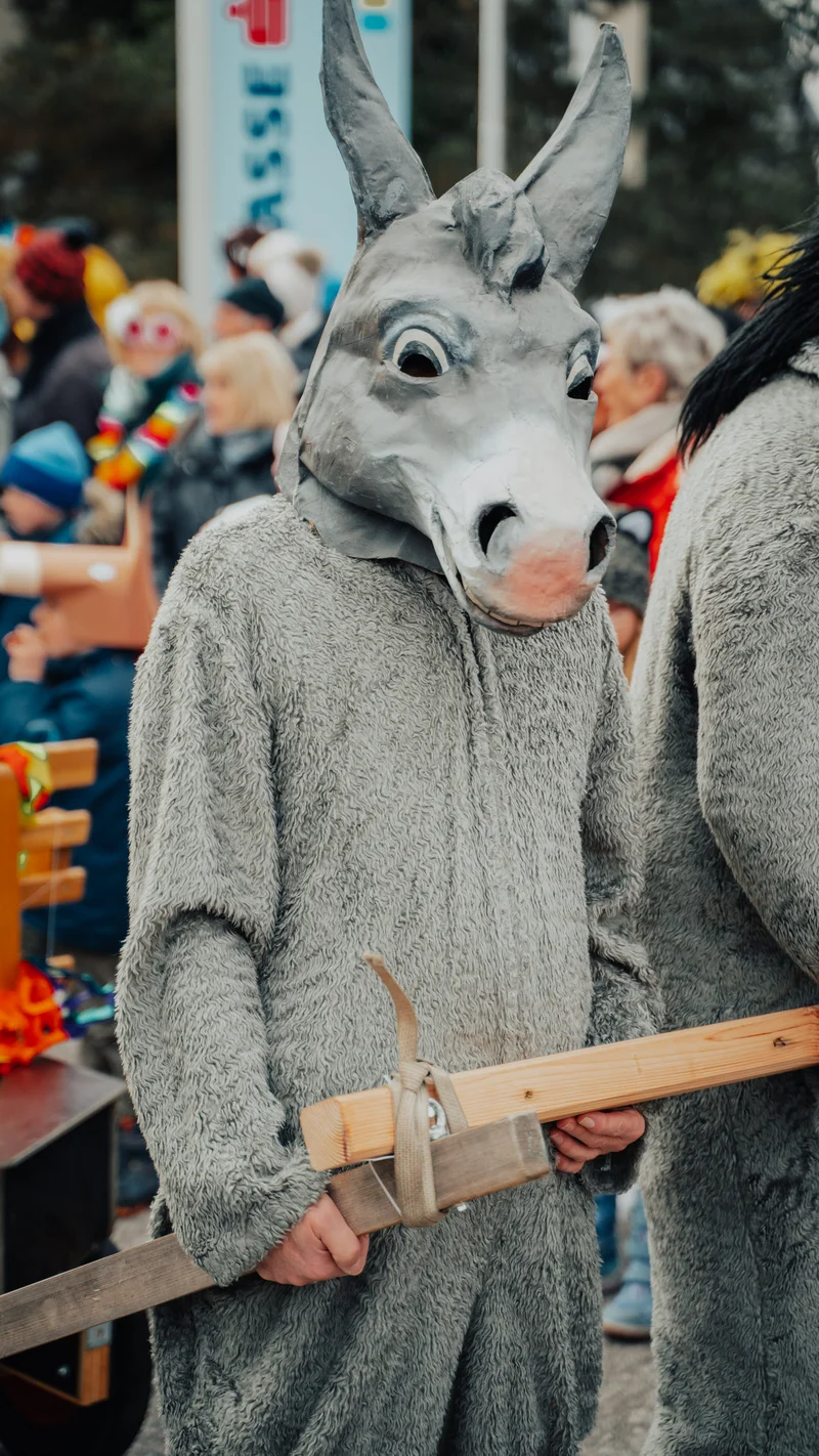 RawmanPictures - Sebastian Schiefermayr | Faschingsumzug Weißkirchen | Karnevalskostüm Parade: Eselmaske, bunte Feier, traditionelle Festtagsfotografie.