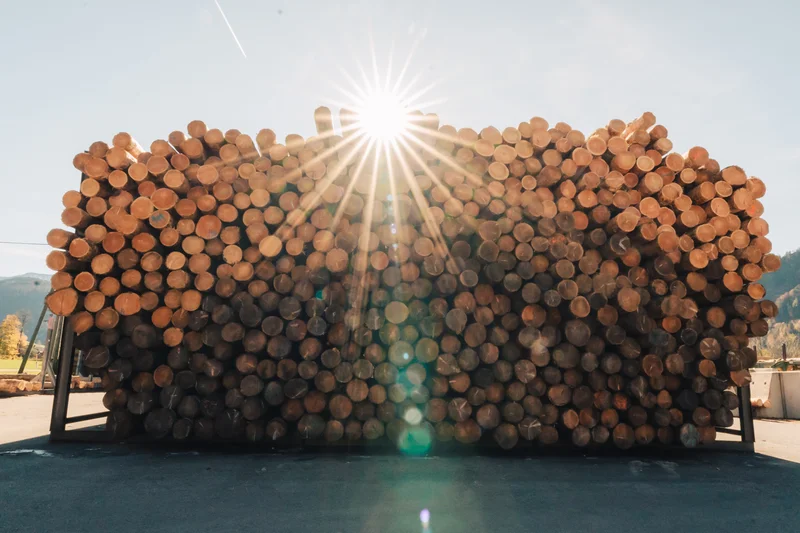 RawmanPictures - Sebastian Schiefermayr | Sägewerk Löberbauer | Holzstapel im Sonnenlicht: Faszinierende Fotografie von Natur und Ressourcen. Fotokunst entdecken.