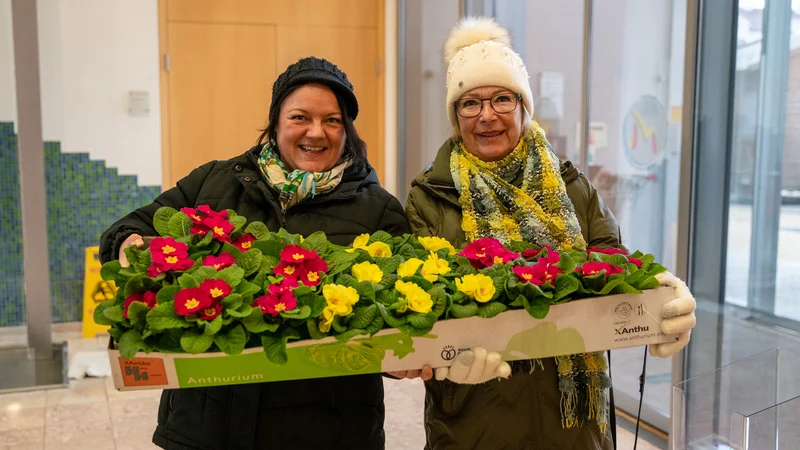 RawmanPictures - Sebastian Schiefermayr | Valentinsaktion Marchtrenk | Zwei Frauen präsentieren bunte Frühlingsblumen in einer Indoor-Umgebung, perfekt für Garten- und Pflanzenfotografie.