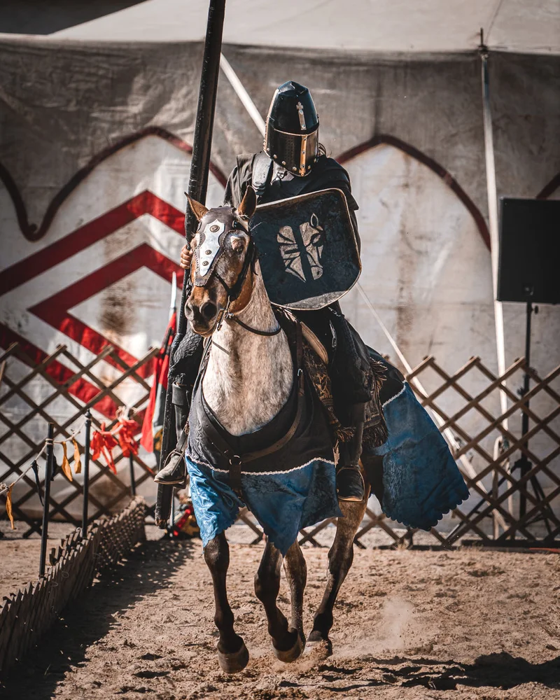 RawmanPictures - Sebastian Schiefermayr | Ritterturnier Burg Clam | Ritterturnier-Fotografie, historische Rüstung, Mittelalter-Event, Pferd und Reiter im Wettkampf.