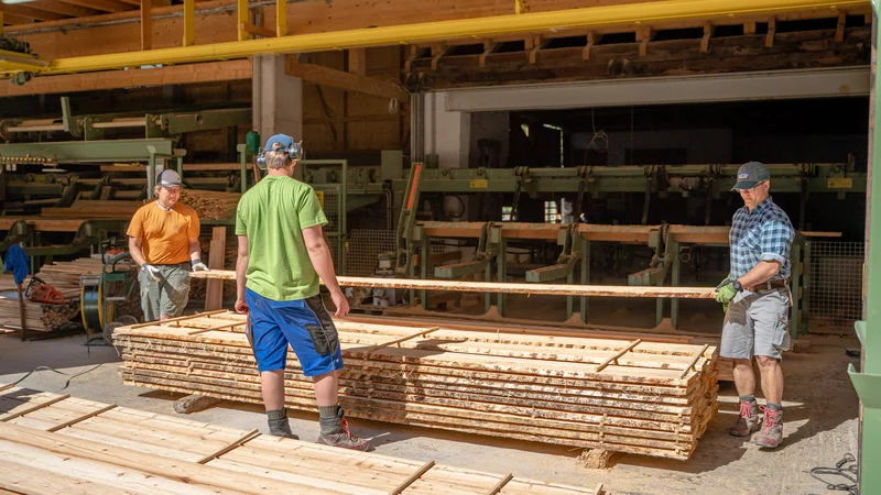 RawmanPictures - Sebastian Schiefermayr | Sägewerk Löberbauer | Holzverarbeitung: Arbeiter in Sägewerk sortieren Bretter für nachhaltige Produktion.