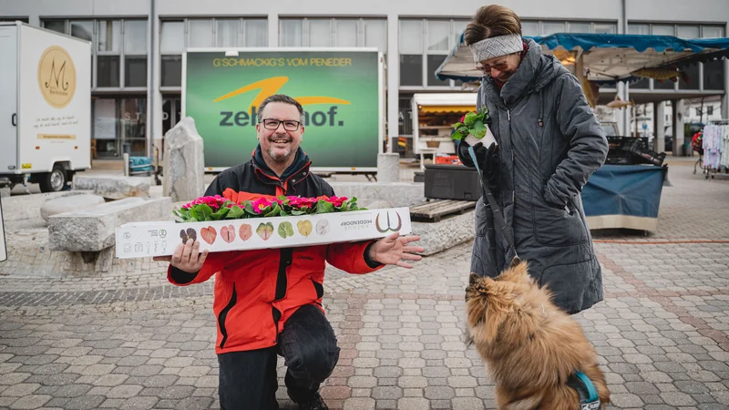 RawmanPictures - Sebastian Schiefermayr | Valentinsaktion Marchtrenk | Mann auf Markt mit Blumen, interagiert mit Frau und Hund. Marktszene, Quadrat, lebendige Fotografie.