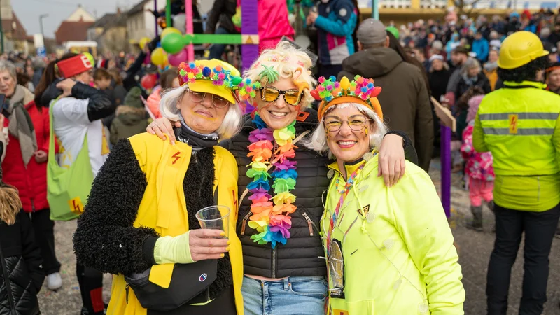 RawmanPictures - Sebastian Schiefermayr | Faschingsumzug Weißkirchen | Bunte Karnevalsfreude: Menschen in farbenfrohen Kostümen genießen eine lebendige, festliche Parade.