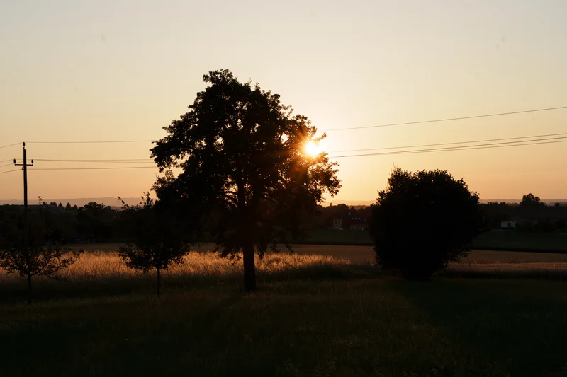 RawmanPictures - Sebastian Schiefermayr | Singkreis-Sundowner  | Sonnenuntergang Landschaftsfotografie Feld Baum Silhouetten Naturstimmung.