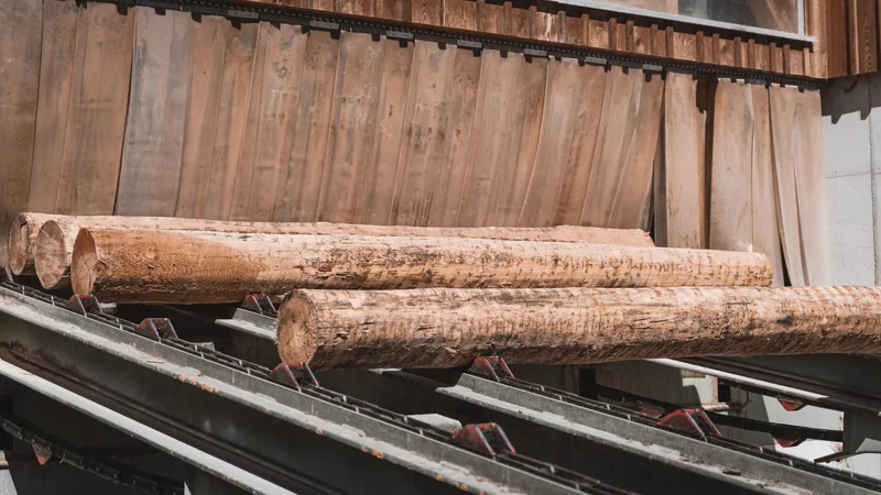 RawmanPictures - Sebastian Schiefermayr | Sägewerk Löberbauer | Holzverarbeitung im Sägewerk: Baumstämme auf Förderband in industrieller Umgebung.