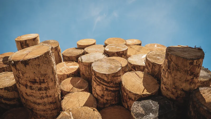 RawmanPictures - Sebastian Schiefermayr | Sägewerk Löberbauer | Holzstapel unter blauem Himmel: Naturfotografie, Landschaft, Holzstrukturen, Texturen.
