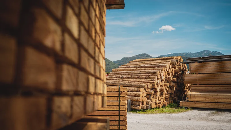 RawmanPictures - Sebastian Schiefermayr | Sägewerk Löberbauer | Holzlager vor Bergkulisse, ideales Motiv für Industrie- und Landschaftsfotografie.