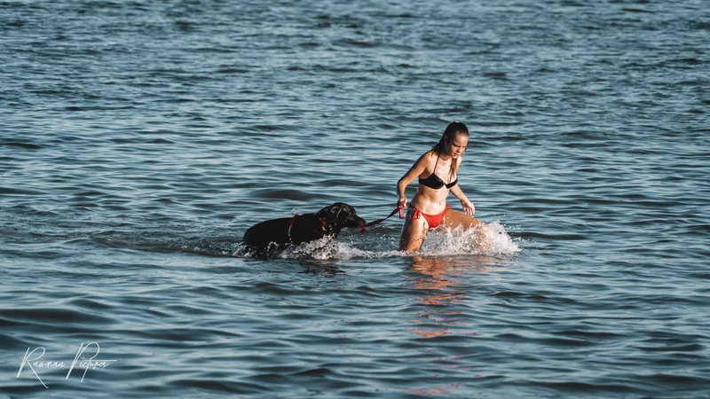 RawmanPictures - Sebastian Schiefermayr | Chioggia 2022 | Frau mit Hund beim Strandspaziergang im Wasser. Fotografiert im natürlichen Sonnenlicht.