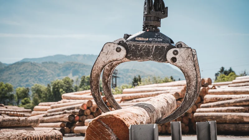 RawmanPictures - Sebastian Schiefermayr | Sägewerk Löberbauer | Greifer für Holztransport in malerischer Berglandschaft. Ideal für Industriefotografie.
