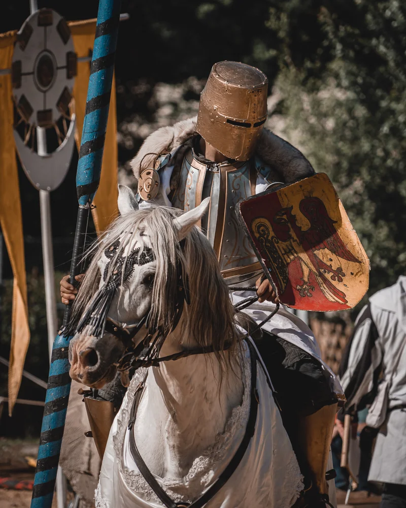 RawmanPictures - Sebastian Schiefermayr | Ritterturnier Burg Clam | Ritterliches Mittelalter-Reenactment: Rüstung, Pferd und Schild im historischen Turnier.