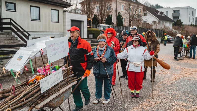 RawmanPictures - Sebastian Schiefermayr | Faschingsumzug Weißkirchen | Karnevalsumzug im Freien, kreative Kostüme, festliche Straßenparade, Freude und Gemeinschaft erleben.