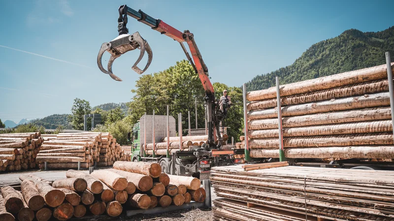 RawmanPictures - Sebastian Schiefermayr | Sägewerk Löberbauer | Ladekran transportiert Holzstämme auf LKW im Sägewerk. Nachhaltige Forstwirtschaft.