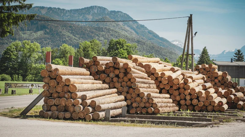 RawmanPictures - Sebastian Schiefermayr | Sägewerk Löberbauer | Holzstapel vor Alpenkulisse: Ländliche Landschaftsfotografie, Natur und Forstwirtschaft.